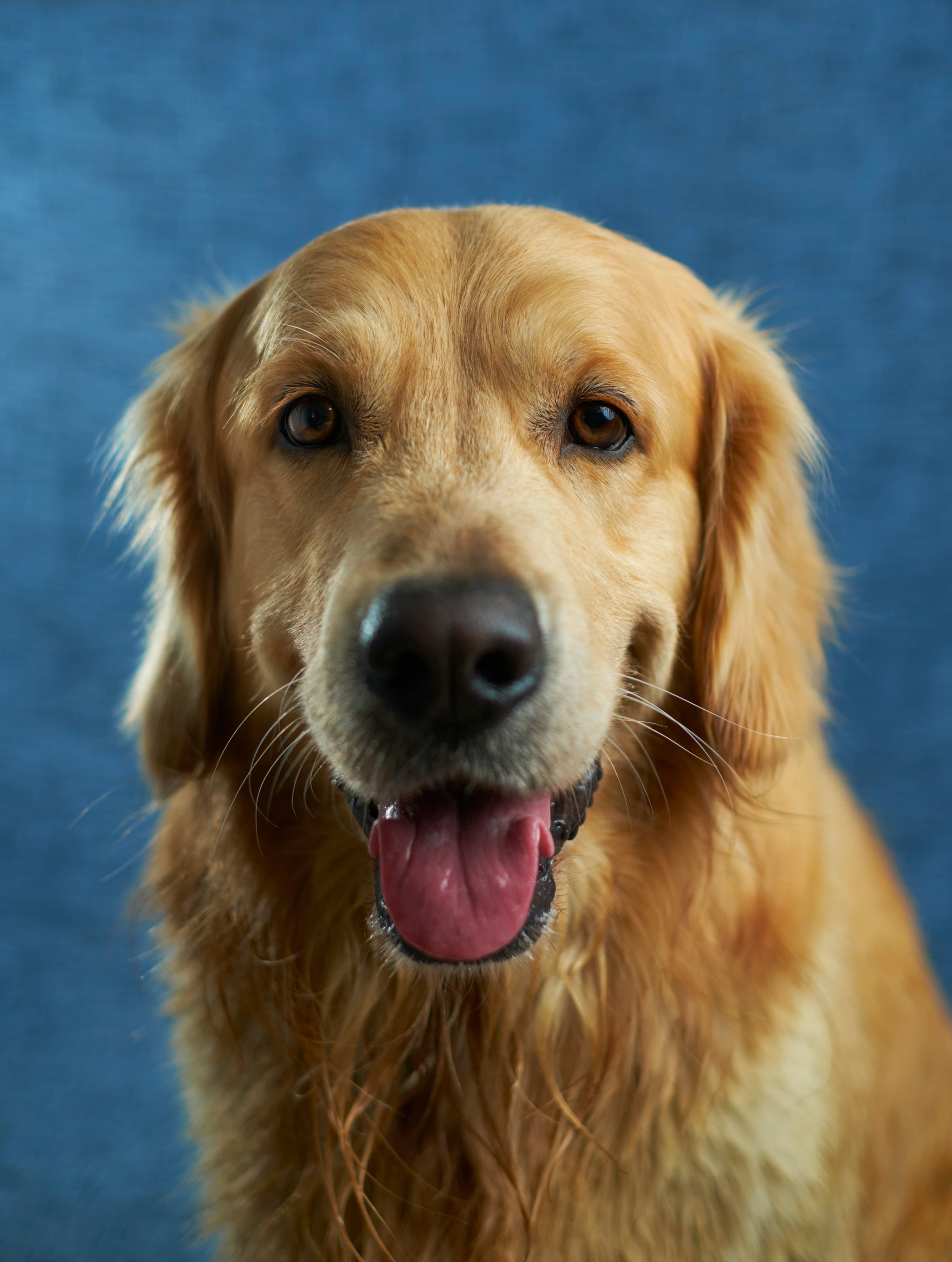 Result: AI Image Editor